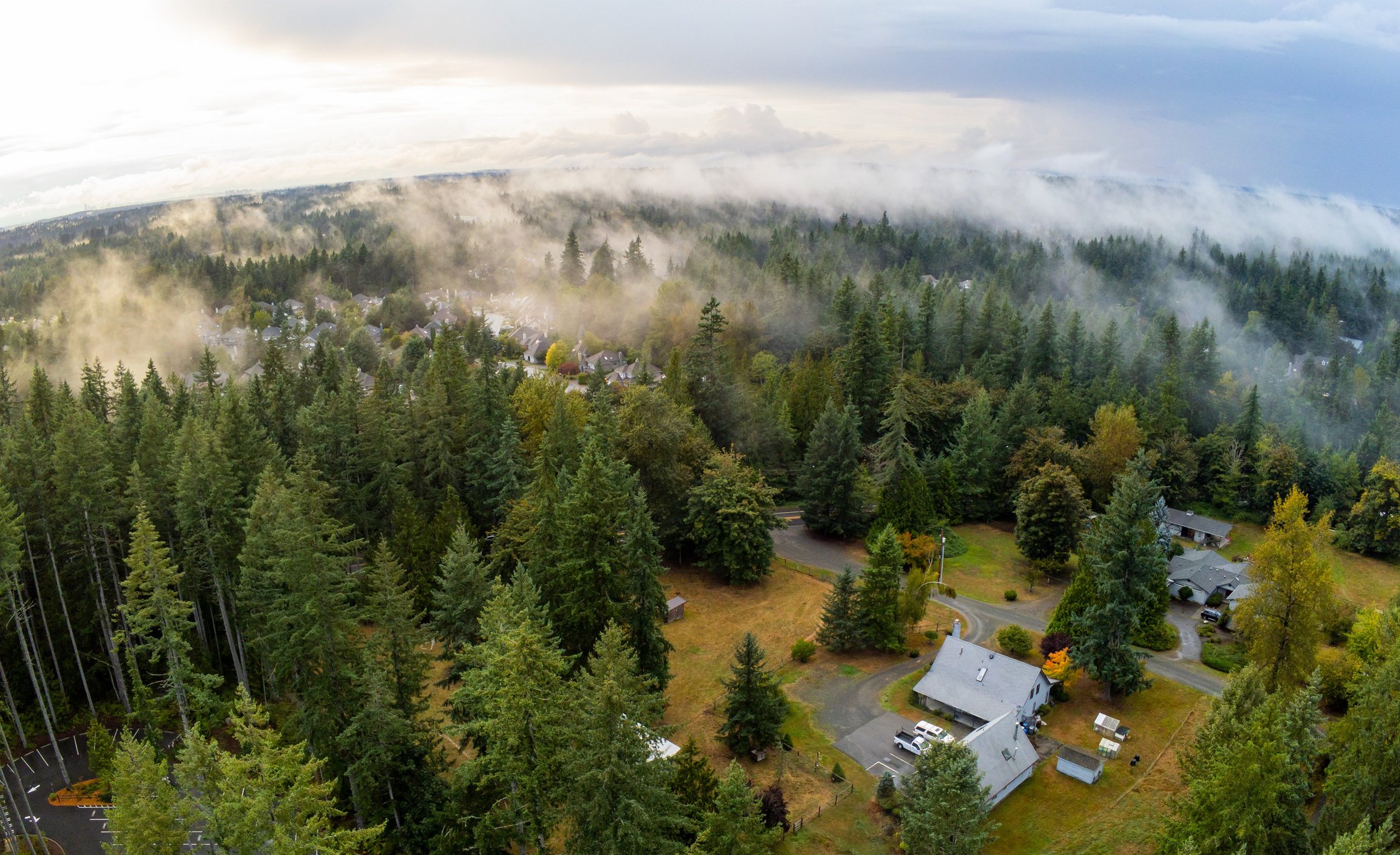 New Customer Issaquah, Washington